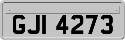 GJI4273