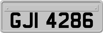 GJI4286