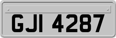GJI4287