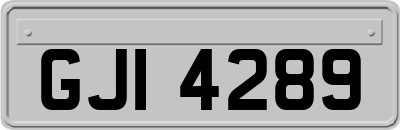 GJI4289