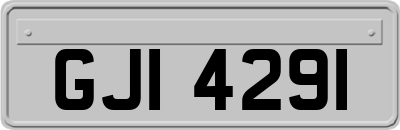 GJI4291