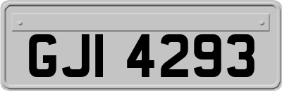 GJI4293