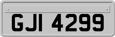 GJI4299