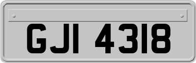 GJI4318