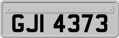 GJI4373
