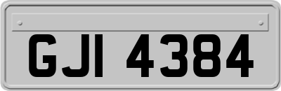 GJI4384