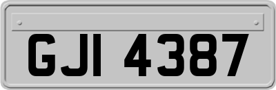 GJI4387