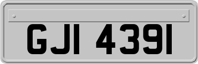 GJI4391