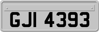GJI4393
