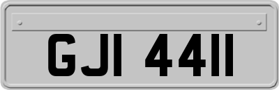 GJI4411
