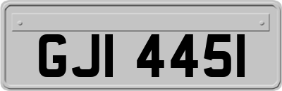GJI4451