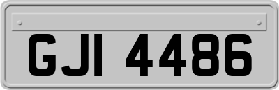 GJI4486