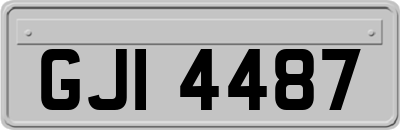 GJI4487