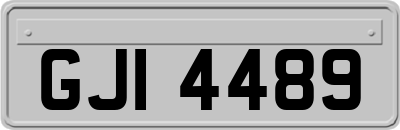 GJI4489