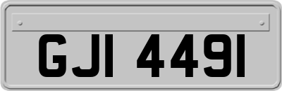 GJI4491