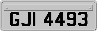 GJI4493