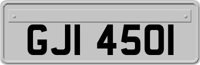 GJI4501