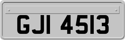 GJI4513