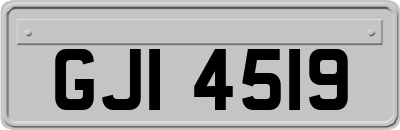 GJI4519