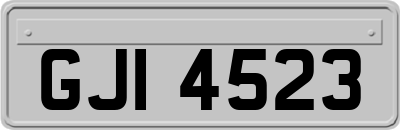 GJI4523
