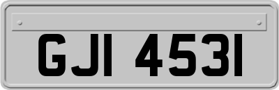 GJI4531