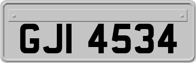 GJI4534