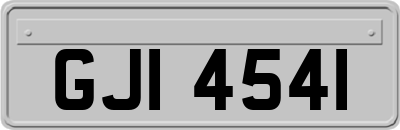 GJI4541