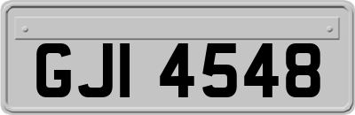 GJI4548