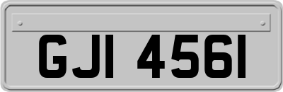 GJI4561