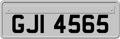 GJI4565