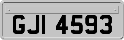 GJI4593