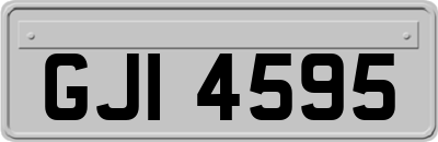 GJI4595