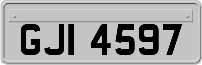GJI4597