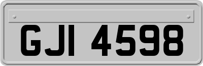 GJI4598