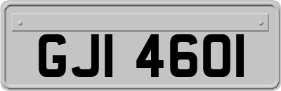 GJI4601