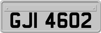 GJI4602