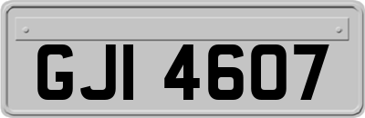 GJI4607