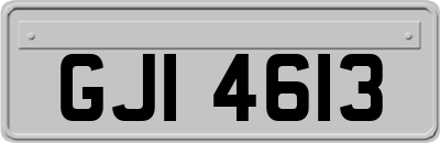 GJI4613