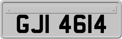 GJI4614