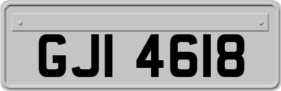 GJI4618