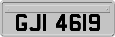 GJI4619