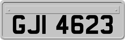GJI4623