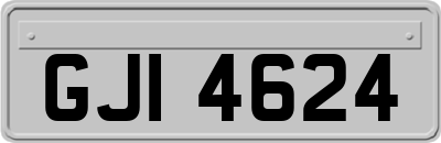 GJI4624