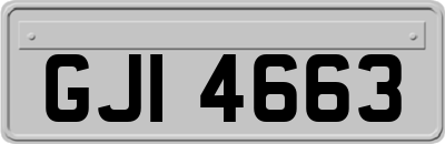 GJI4663