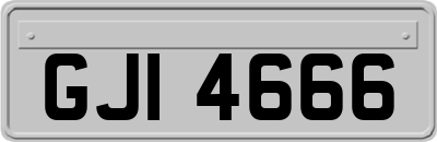 GJI4666