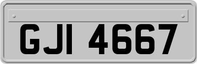 GJI4667