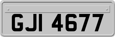 GJI4677