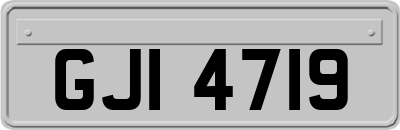 GJI4719