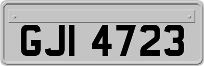 GJI4723