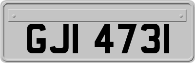 GJI4731